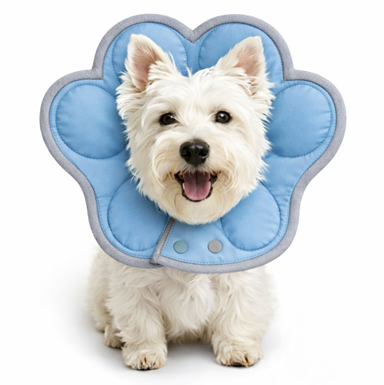 Soft Flower Recovery Collar for Dogs & Cats