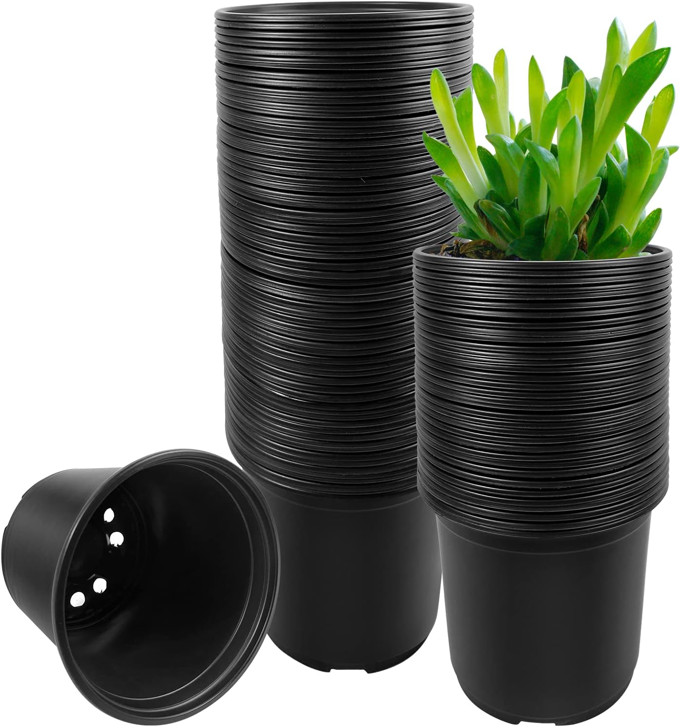 Seedling Nursery Pot Packs - view 1