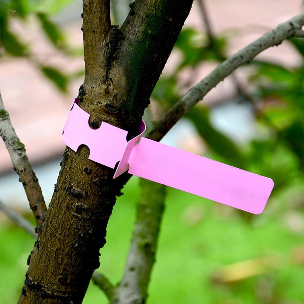 Nursery Plant Labels - view 2