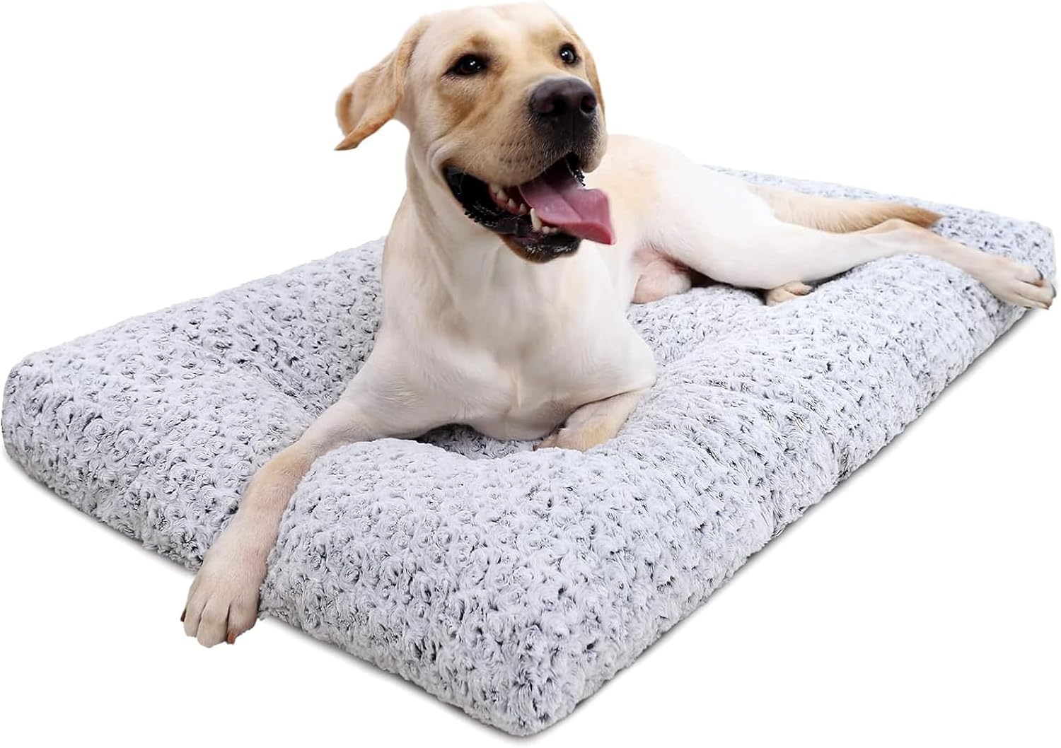 Dog Cushion Beds - view 1
