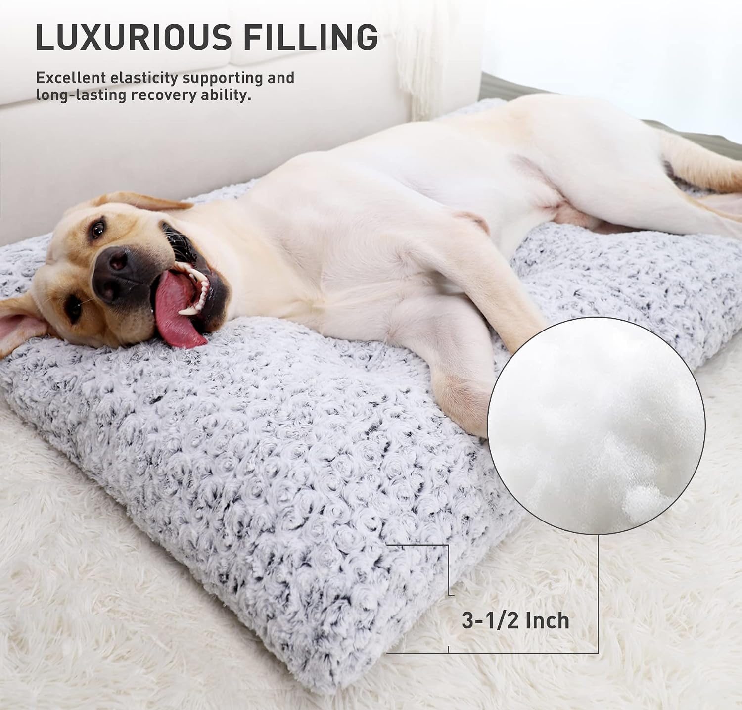 Dog Cushion Beds - view 3