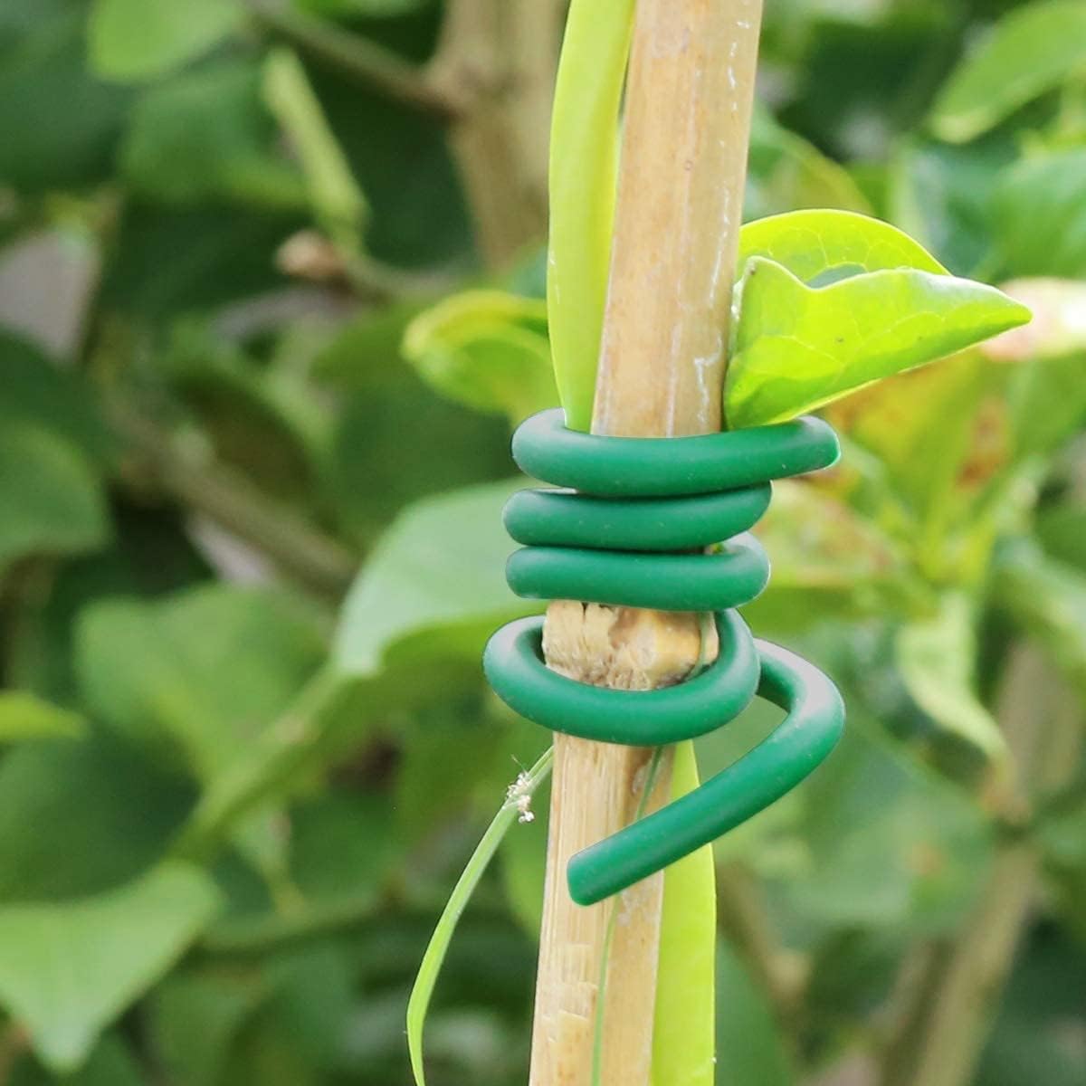Soft Plant Tie Rolls - view 3
